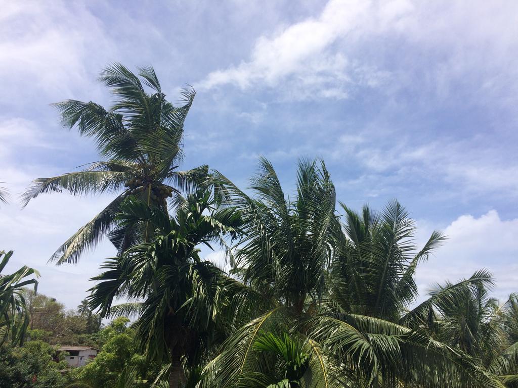 Hansa Villa Unawatuna Buitenkant foto