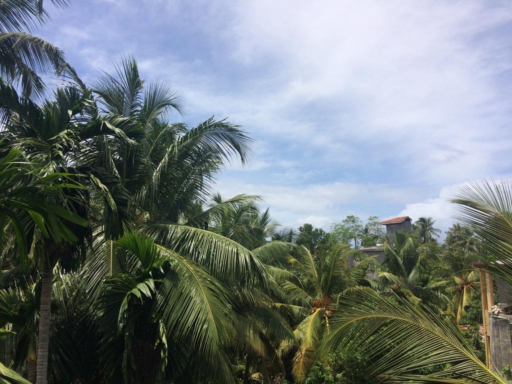 Hansa Villa Unawatuna Buitenkant foto